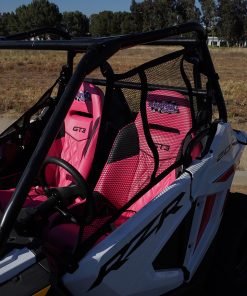 W43 RZR 200 Window Net